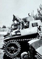 Foto vintage vintage vintage da Segunda Guerra Mundial tanque do exército com cachorro pastor alemão  comprar usado  Enviando para Brazil