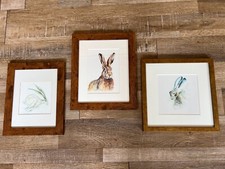 Framed hare prints for sale  LICHFIELD