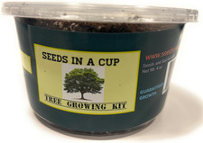Tree growing kit for sale  Denver