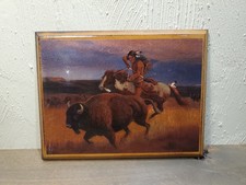 Vtg native american for sale  Tow