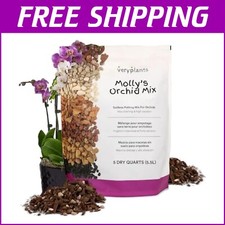 Quart molly orchid for sale  Gloucester City