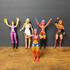 Lot wwe wwf for sale  Fleetwood