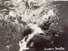 Old postcard group for sale  SIDMOUTH