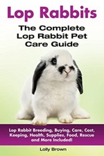 Lop rabbits lop for sale  Montgomery
