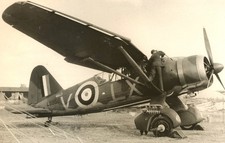westland lysander for sale  WOKINGHAM