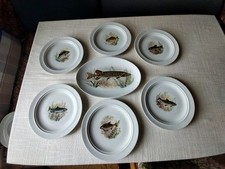 Fischteller platte gebraucht kaufen  Schwandorf
