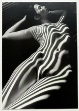 Lucen clergue carton d'occasion  Boulogne-Billancourt