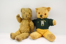 pedigree bear for sale pedigree bear for sale LEEDS