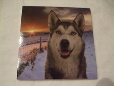 Carnet aimanté feuilles d'occasion Carnet aimanté feuilles d'occasion  Troyes