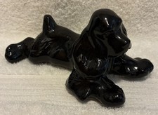 Cocker spaniel black for sale  Pollock