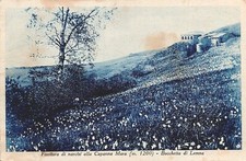 Da252 cartolina bochetta usato  Tramonti