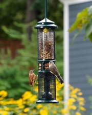 Brome squirrel buster for sale  El Dorado Hills