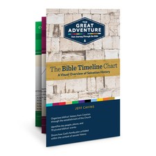 Bible timeline chart for sale  Denver