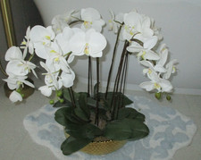 Faux orchid white for sale  Fort Wayne