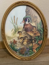 Vintage ornate gold for sale  Isabella