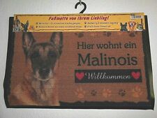 Zerbino malinois zerbino usato  Spedire a Italy