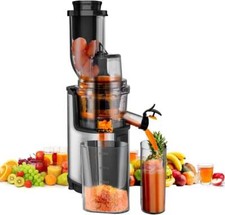Entsafter slow juicer gebraucht kaufen  Bad Bramstedt