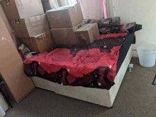 Call 07424755770 beautiful for sale  ILFORD
