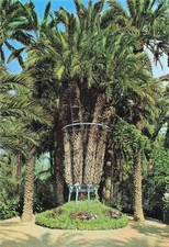 Espagne elche huerto d'occasion  France