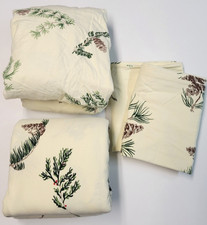 Bean evergreen pinecone for sale  Fairhaven
