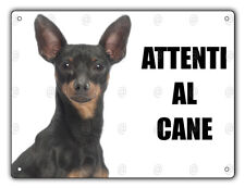 Cartello attenti cane usato  Vertemate con Minoprio