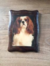 Vintage cavalier king d'occasion  Expédié en Belgium