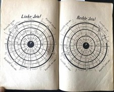 Lehrbuch irisdiagnose ergänzu gebraucht kaufen  Berlin