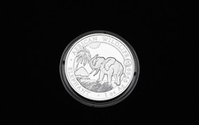 Somalia elephant 2017 gebraucht kaufen  Bergisch Gladbach