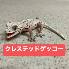 Figurine advance reptile d'occasion Figurine advance reptile d'occasion  Expédié en France