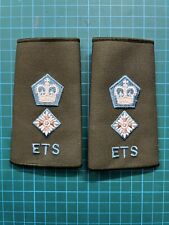 Col lieutenant colonel for sale  EMSWORTH