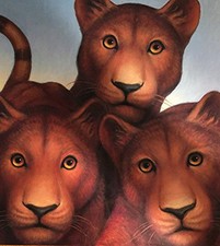 Cinder eyed cats for sale  UK