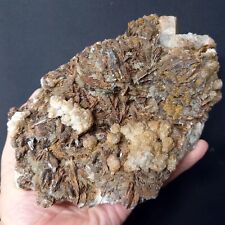 X22 bellissima barite usato  Italia