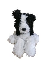 Aurora border collie for sale  HUDDERSFIELD