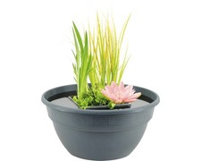 Miniteich floraself inkl gebraucht kaufen  Deutschland