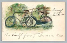 Couples bikes resting for sale  USA