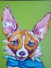 Colorful chihuahua dog for sale  Clio