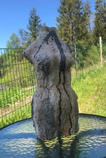 Akt torso weiblich gebraucht kaufen  Wehingen