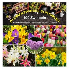 100 blumenzwiebel garten gebraucht kaufen  Deutschland