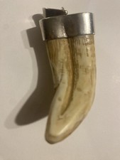 Bear tooth pendant for sale  New Braunfels