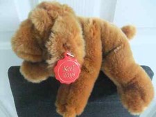 Keel hound ginger for sale  LEICESTER