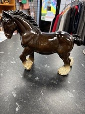 Bay trotting shire for sale  MOLD