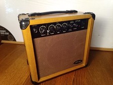 Stagg 10aa acoustic for sale  STRATHAVEN