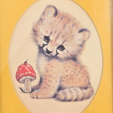 Cheetah kitten mushroom for sale  Bend