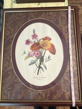 Vtg framed botanical for sale  Pelzer
