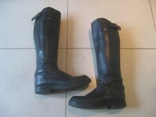 Mountain horse long for sale  CHERTSEY