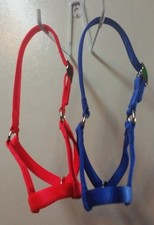 Cattle halters bull for sale  Wedowee