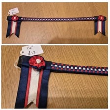 Showing browband bridle. for sale  WOTTON-UNDER-EDGE