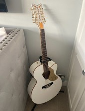 12 string acoustic electric guitar for sale  BARNSLEY