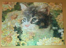 Robert silvers photomosaic for sale  YORK