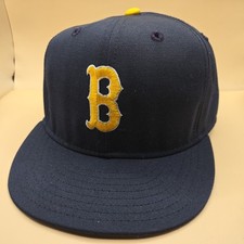 Vintage ucla bruins for sale  Gorham